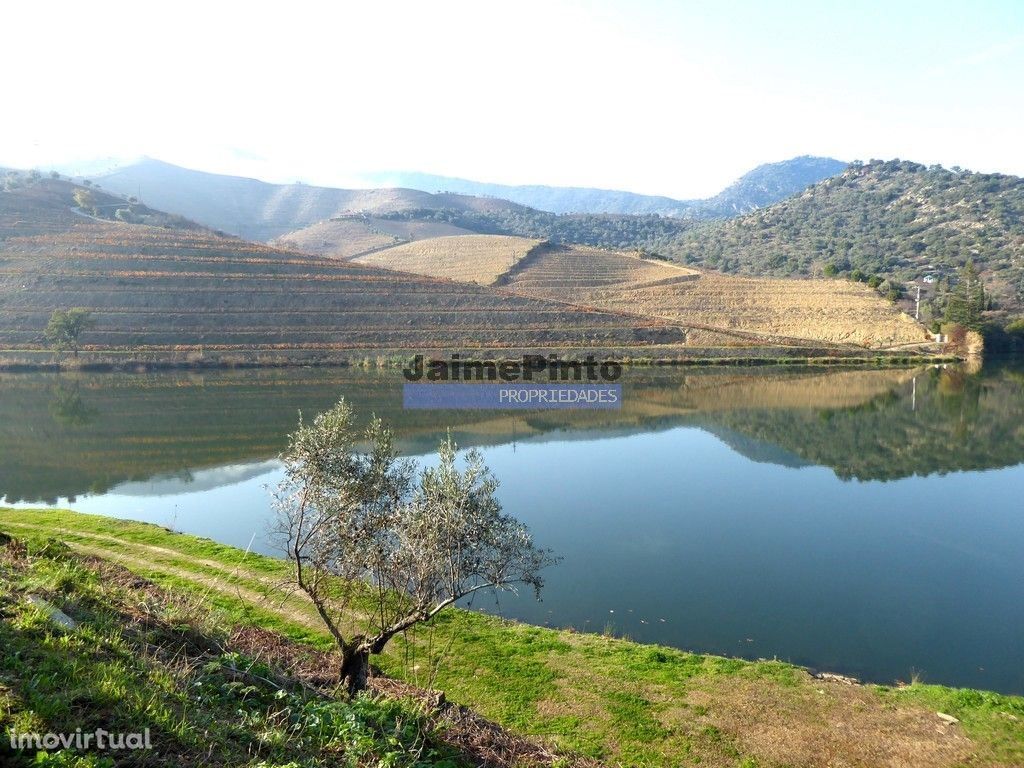 Ecoturismo, terreno, projeto, no Douro Superior. Portugal, S. João ...