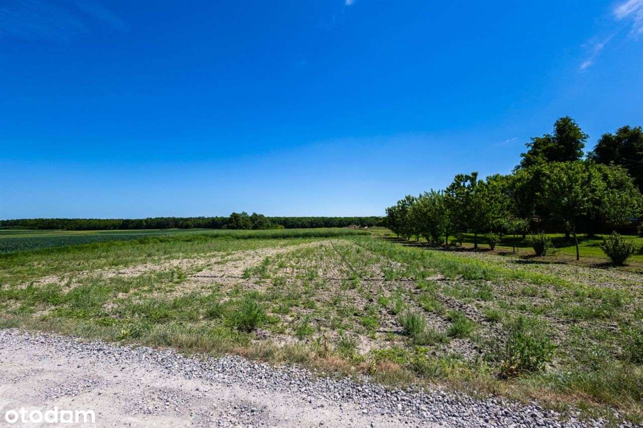 10 i 12 ar z mediami, okolice Lasu Osmolickiego-2