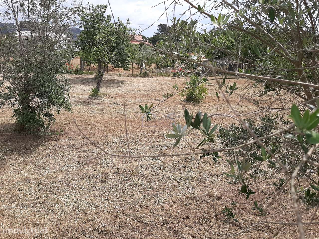 Terreno para construção na Vila de Ferreira do Zêzere-12