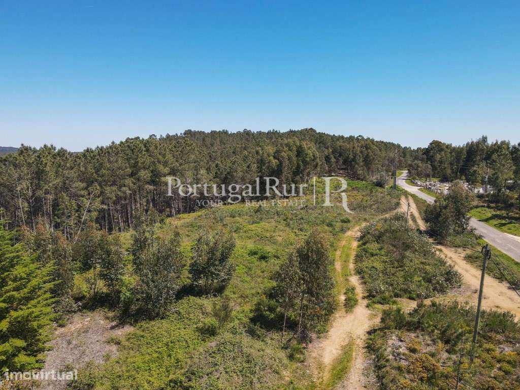 Terreno com 1.750 m2 próximo de proença-a-nova - Grande imagem: 5/11