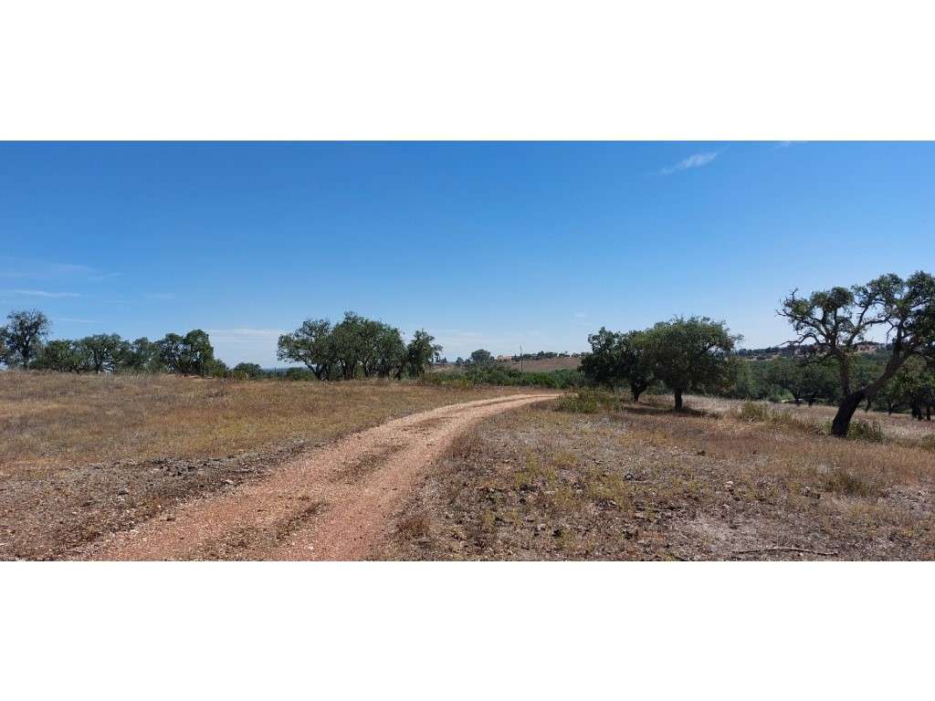 HERDADE 92 ha l Colos-39