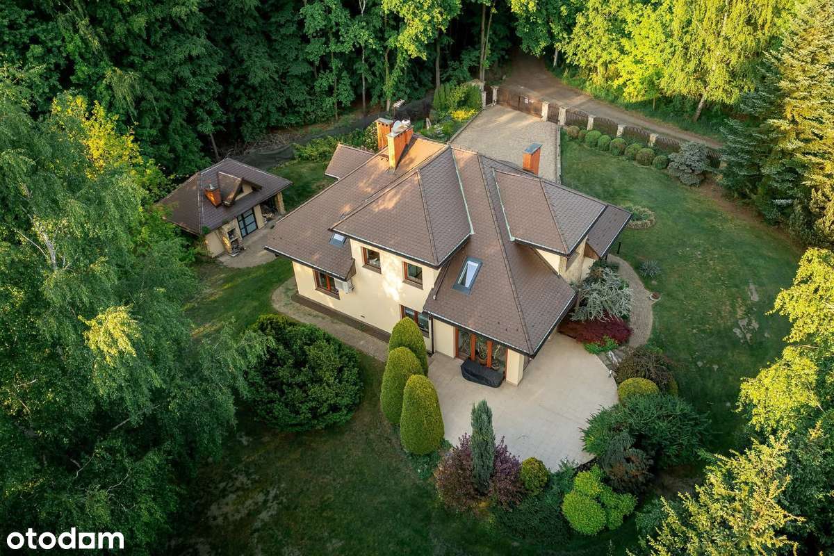 Twoja najlepsza historia zaczyna się tutaj-2