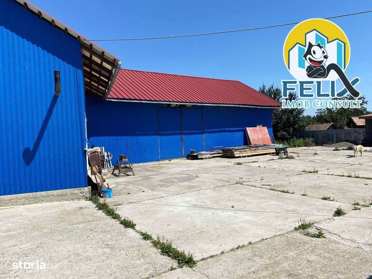 Hala langa Onesti, parcare proprie betonata de cca 1500 mp, 59000 euro - Imagine principală: 4/8