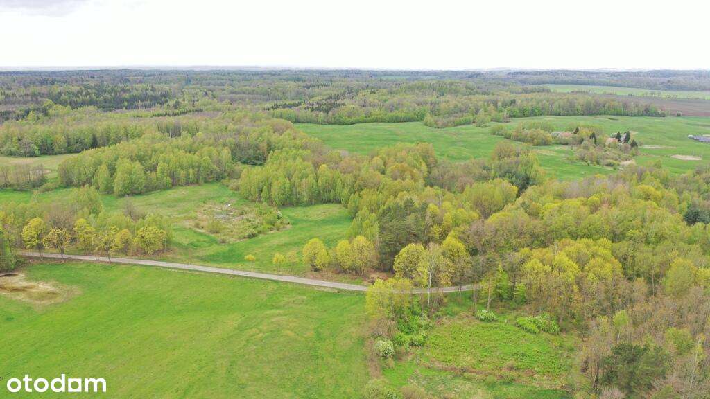 Działka Rolna 7,77 ha Langanki - Pełny obrazek: 4/15