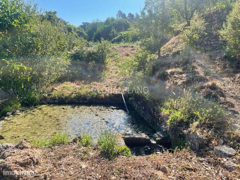 Moradia Térrea - Grande imagem: 3/12