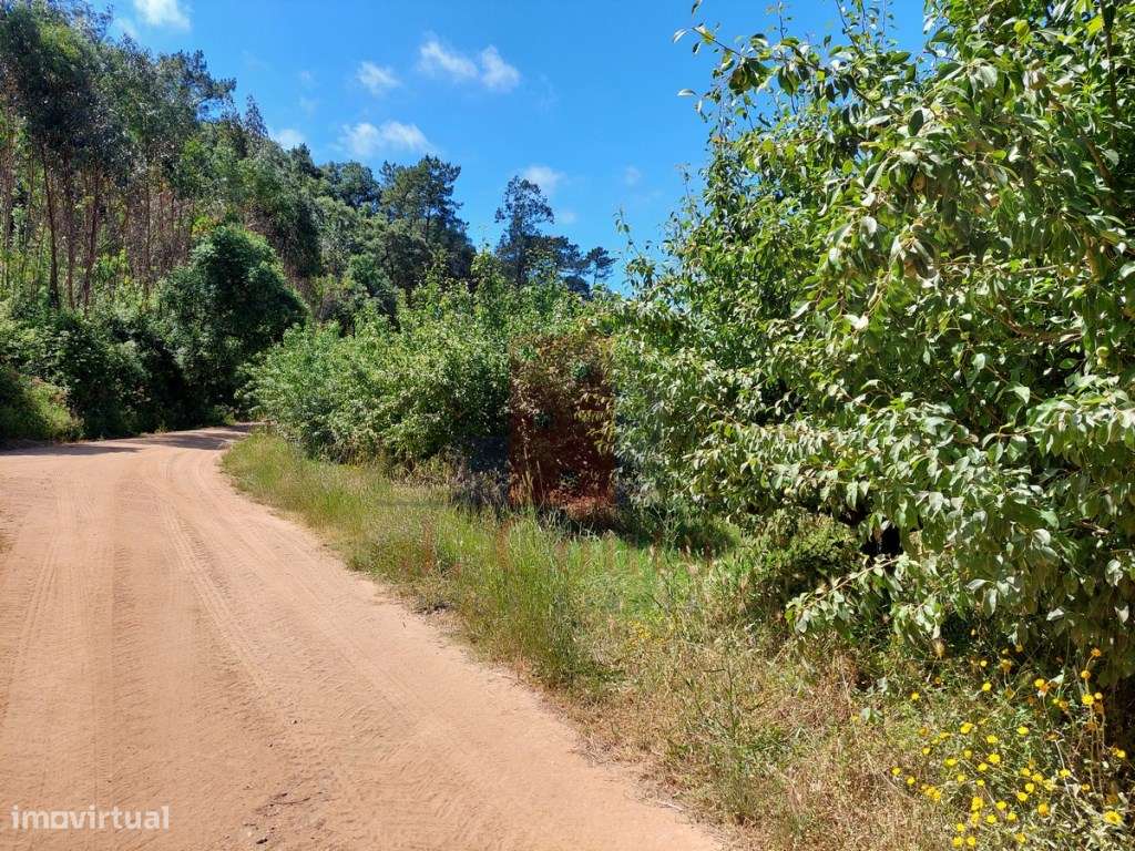 Terreno Rústico com 960 m² em Sancheira Pequena, Óbidos-4