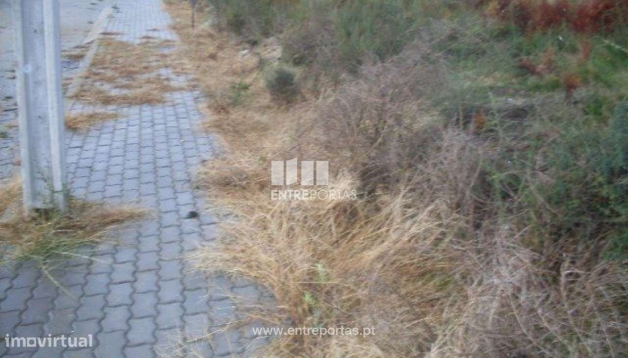 Venda Lote, Grilo, Baião - Grande imagem: 3/29