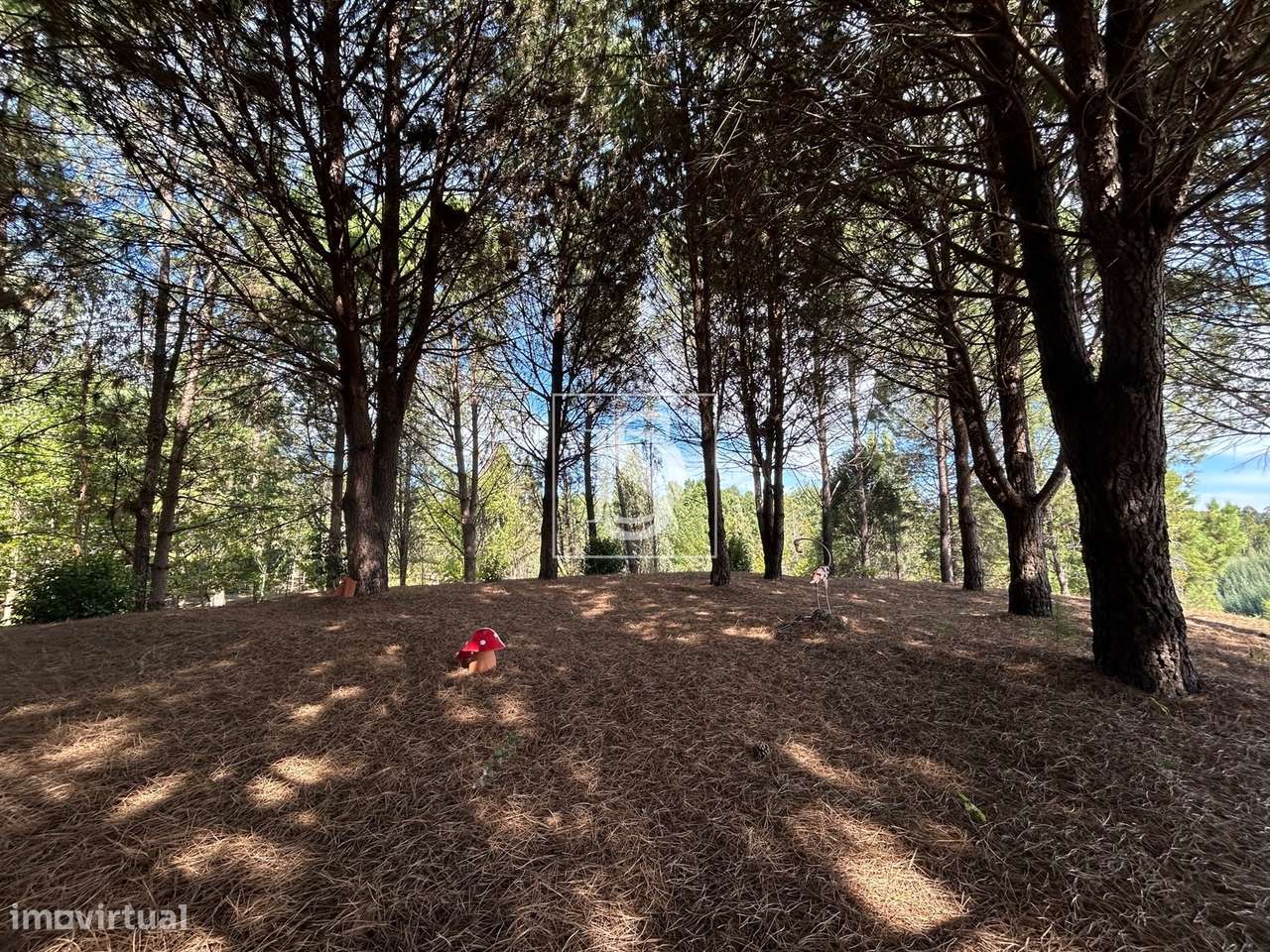 Quinta T6 Venda em Santa Comba Dão e Couto do Mosteiro,Santa Comba Dão-37