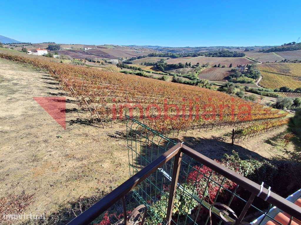 Moradia Rustica inserida numa Magnifica Paisagem Vinícola-29