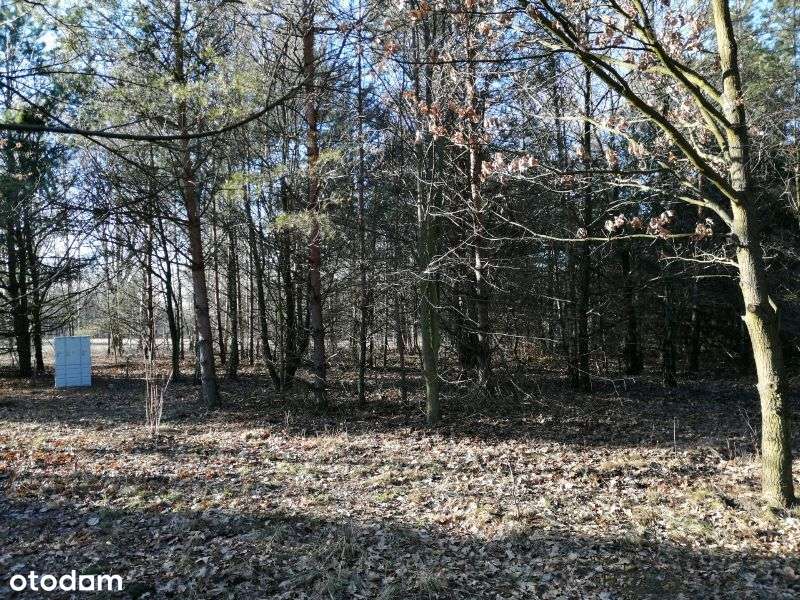 atrakcyjna działka budowlana, Mirów-4