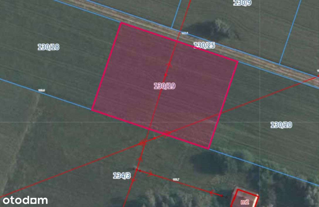 Sprzedam działki budowlane Czarnogłów gm.Dobre-5