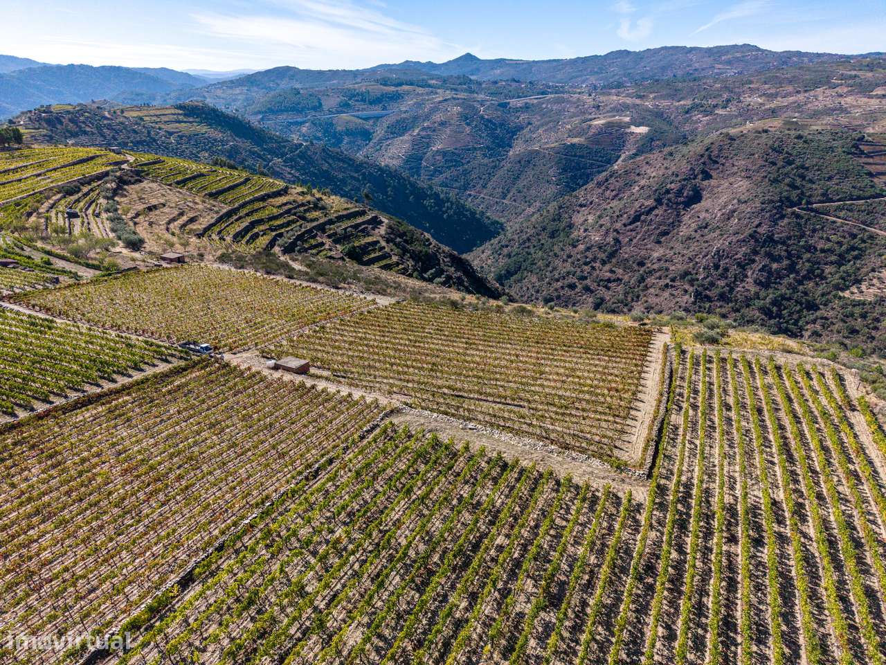 VINHA À VENDA EM MURÇA – REGIÃO DEMARCADA DO DOURO-5
