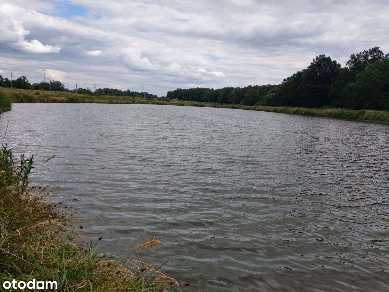 DOM 140 m2 ,9 Hektarow . - Pełny obrazek: 5/5