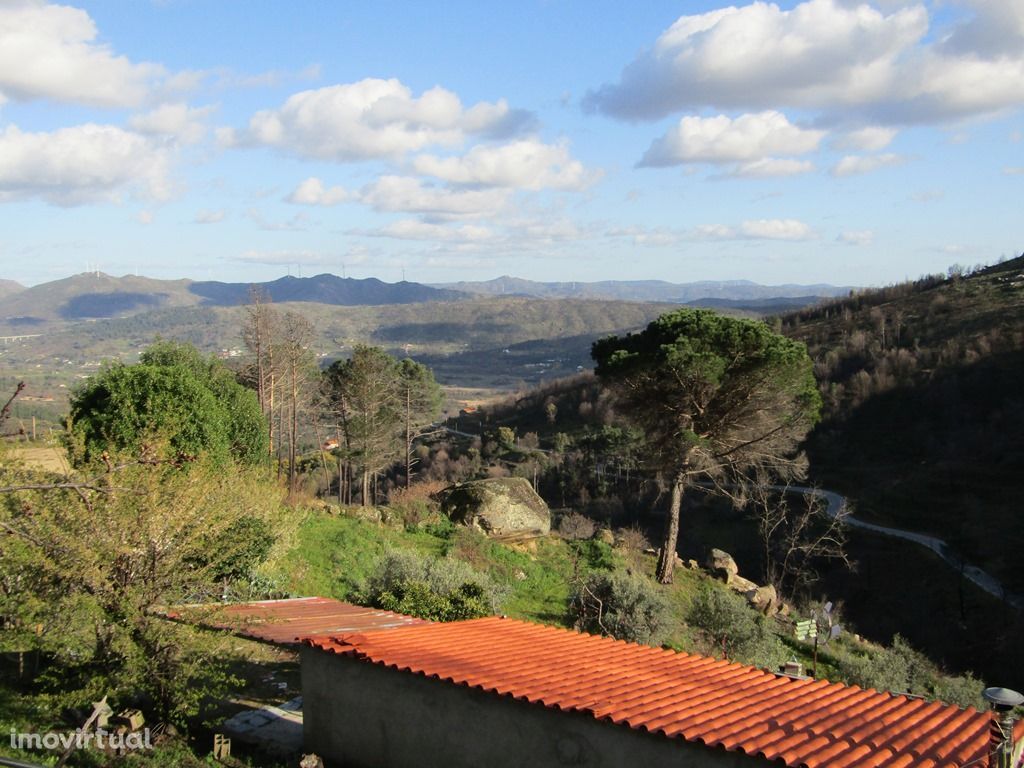 Quinta 26.289 m2 na encosta da Serra com água de nascente