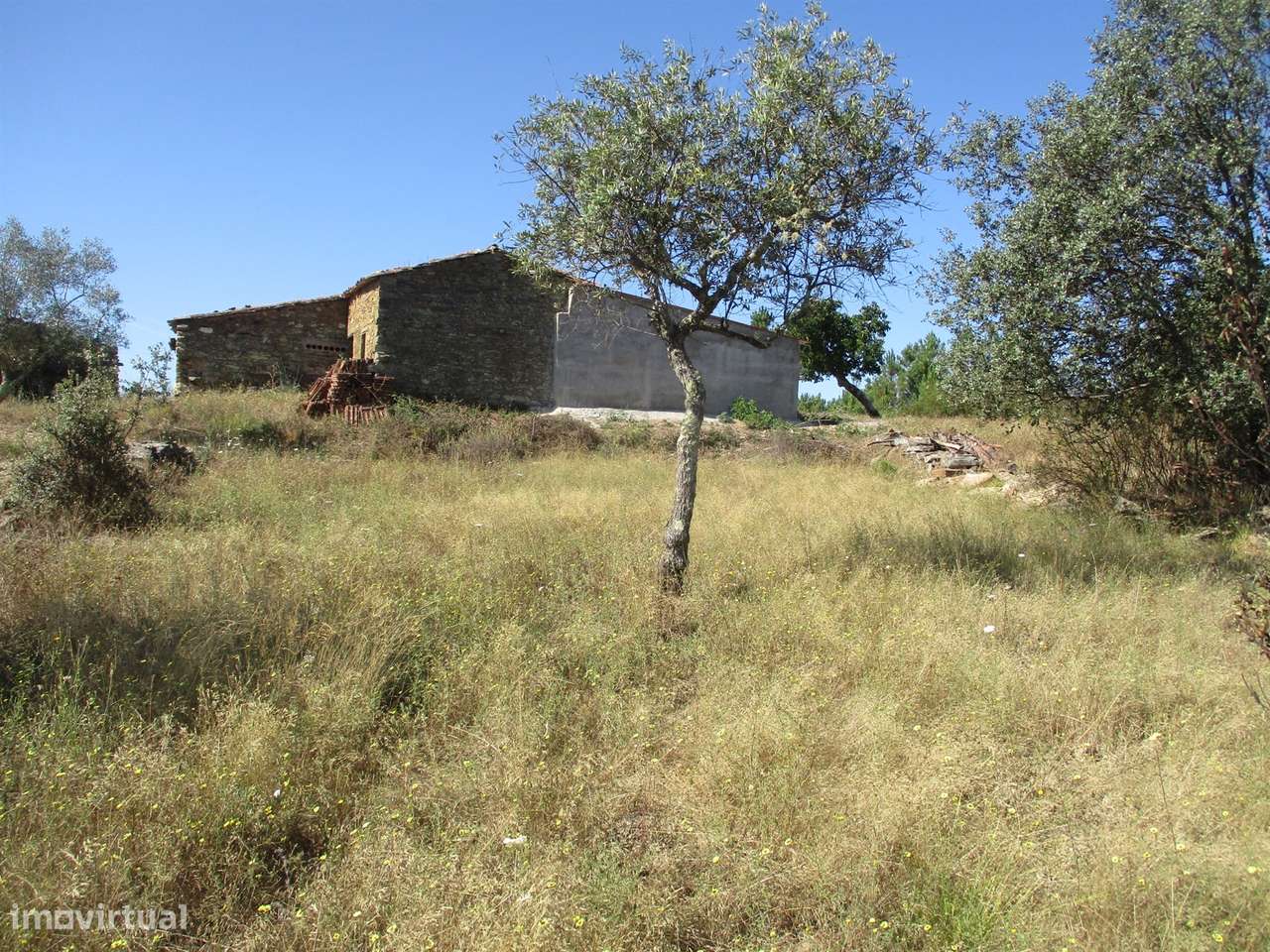 Quinta T0 Venda em Sarzedas,Castelo Branco - Grande imagem: 5/9