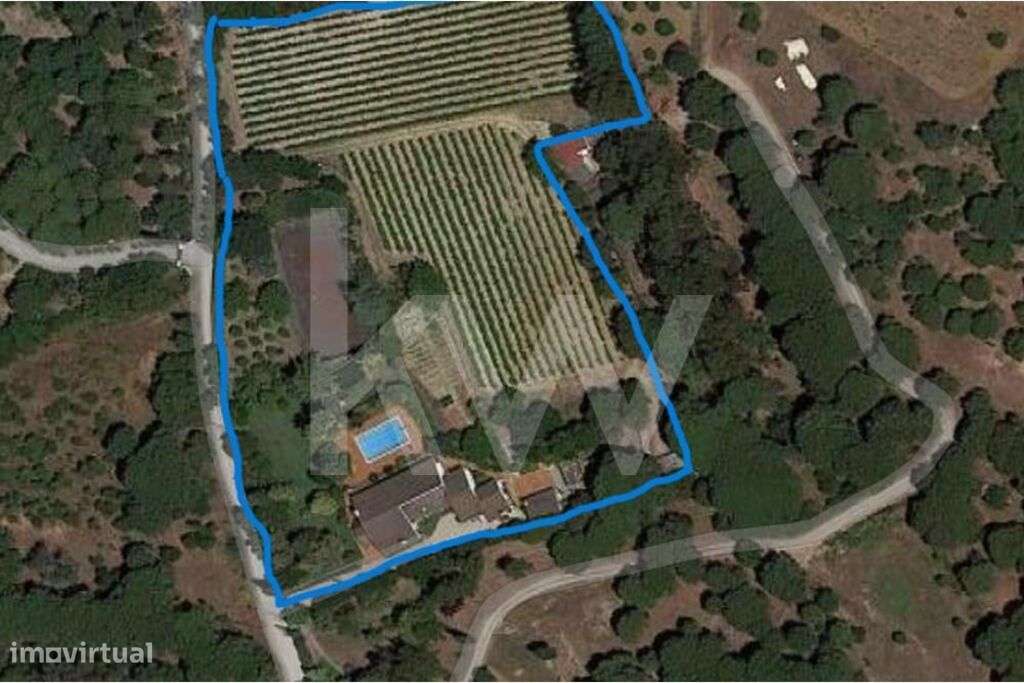 Quinta com Moradia T4, Piscina, Corte de Ténis  e T2 independente, Ole - Grande imagem: 5/59