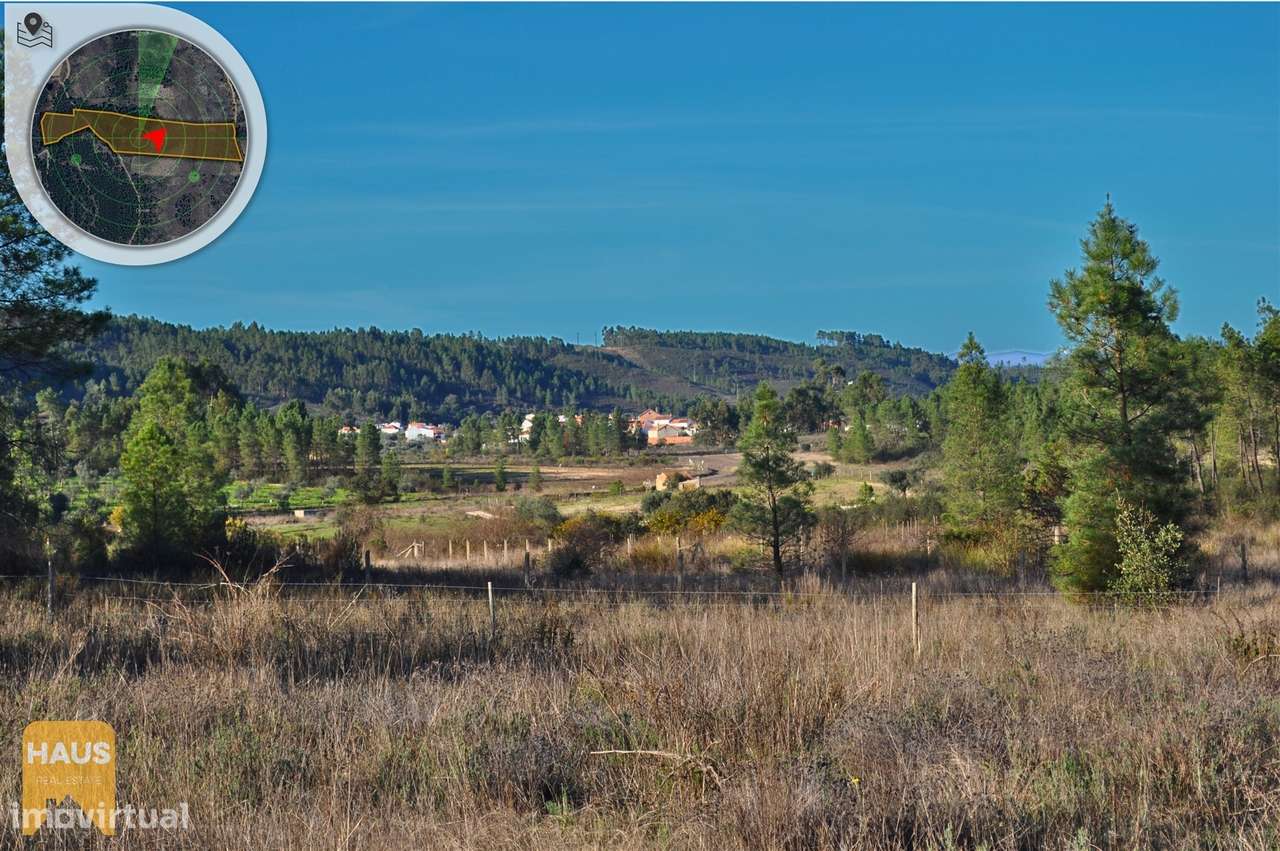 Terreno com 26.000 m² à venda em Castelo Branco. - Grande imagem: 4/23