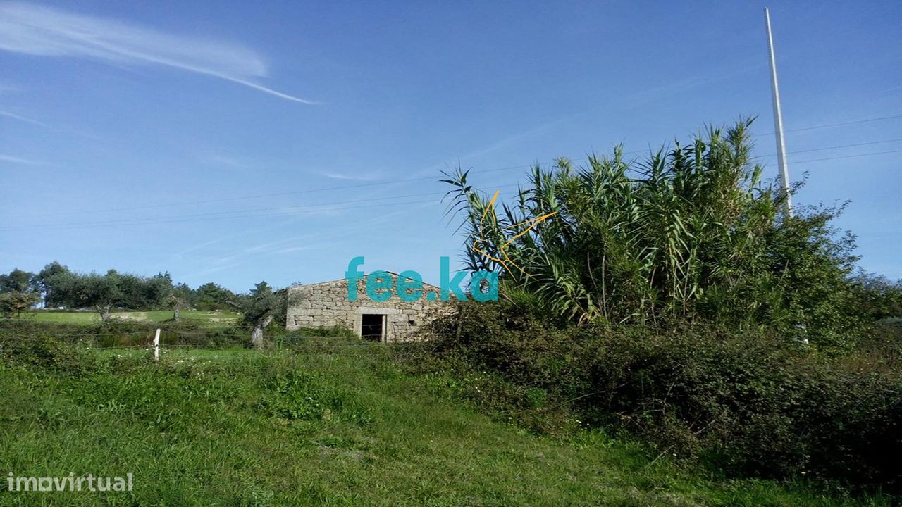 Terreno de 13 ha em Cova da Beira