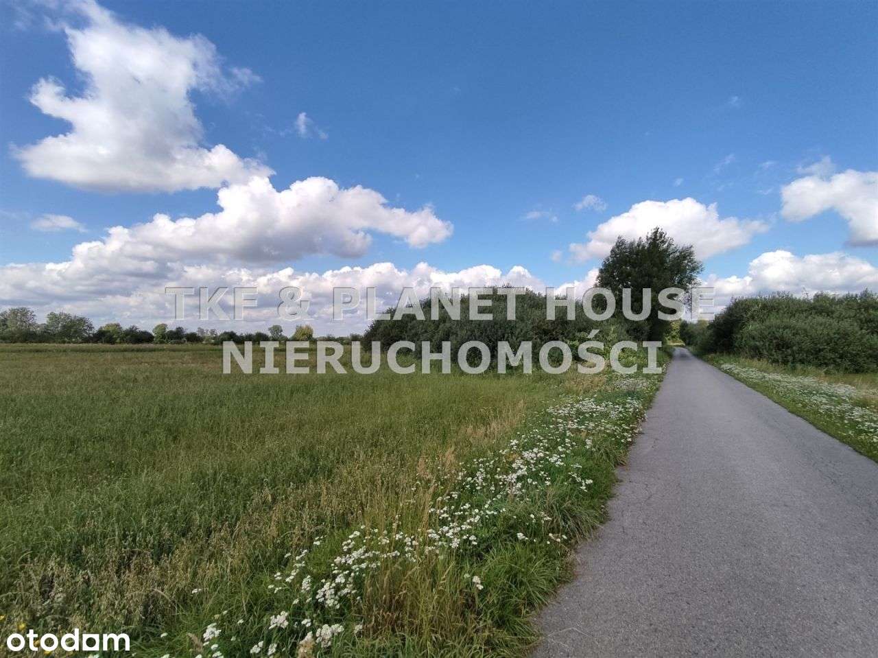 Działka na sprzedaż Feliksów gm. Paradyż - Pełny obrazek: 5/7