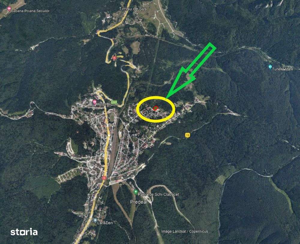 Teren intravilan 3.500 mp Cioplea - Predeal - Imagine principală: 3/7