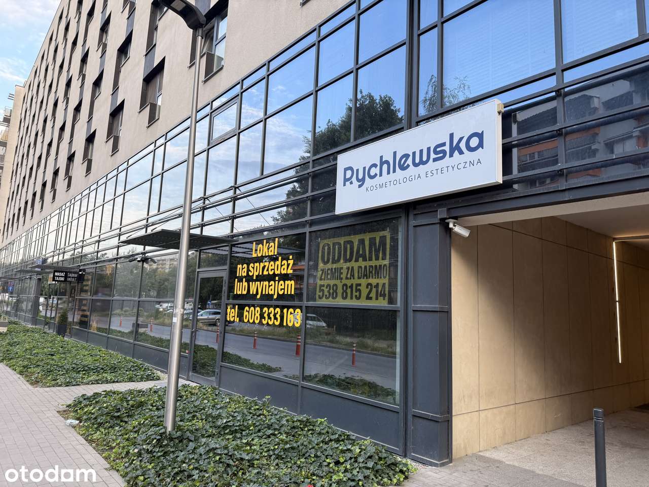 OSTATNI lokal 229 m² | Legnicka 59| 55 firm w obiekcie |Magnolia 650 m-11