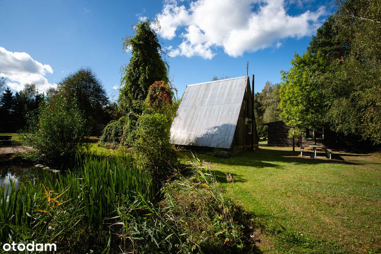 Dom i biznes w otoczeniu lasu-14