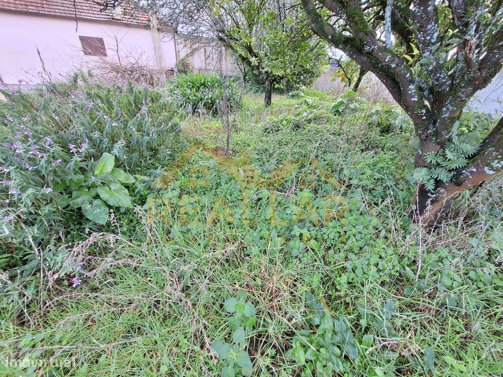 Terreno em Beiriz - Póvoa de Varzim - Grande imagem: 4/7