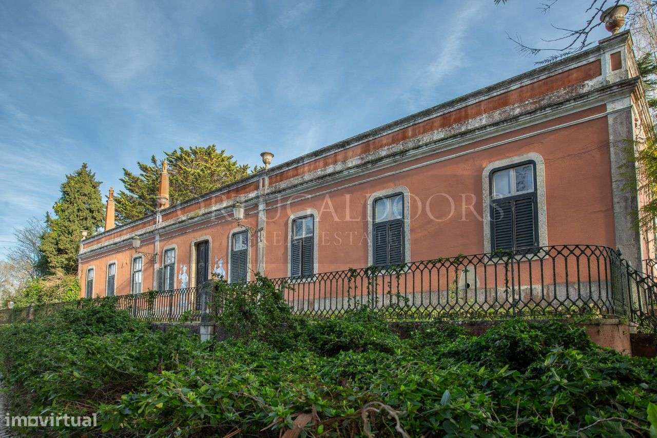 Quinta 5Ha em Azeitão-16