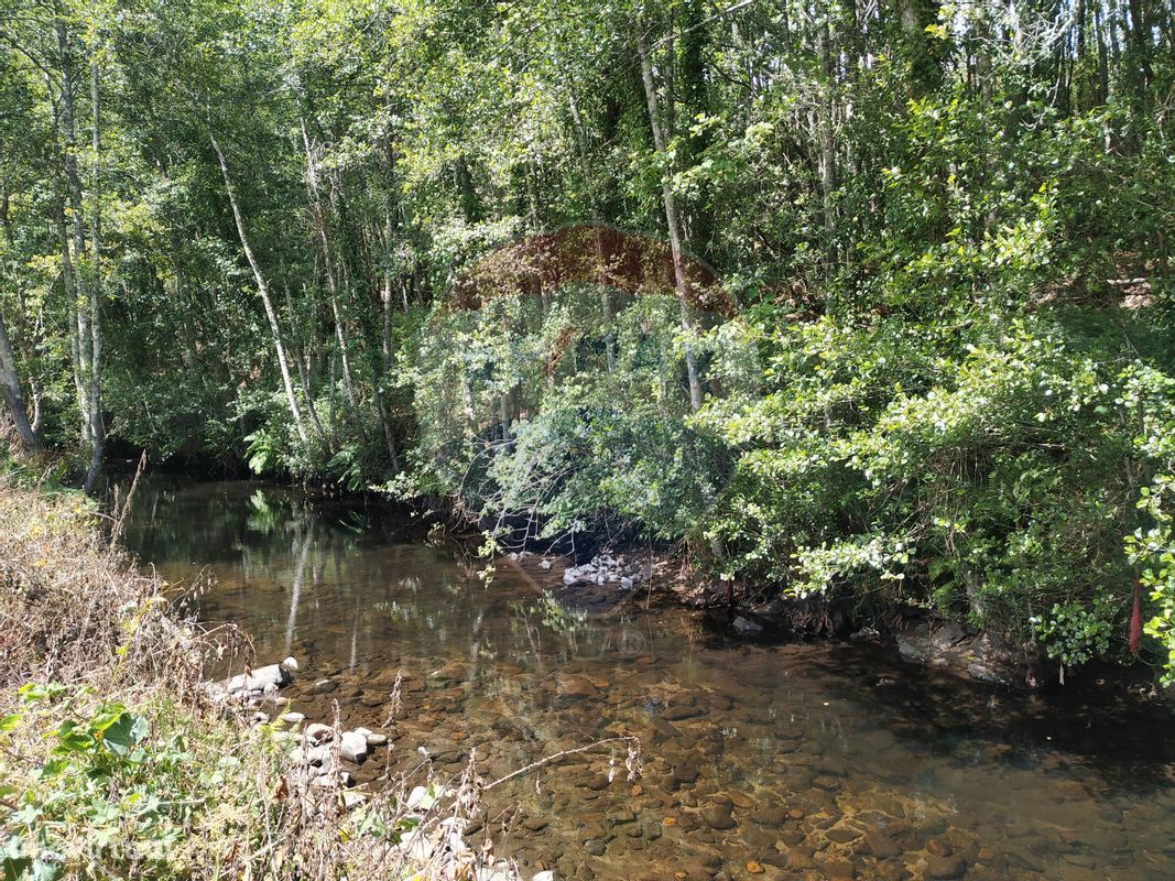 Terreno  para venda