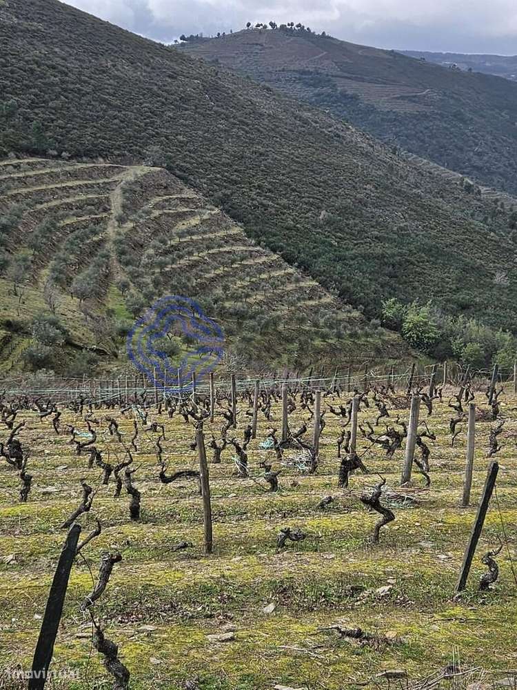 Venda Terreno - Grande imagem: 5/27