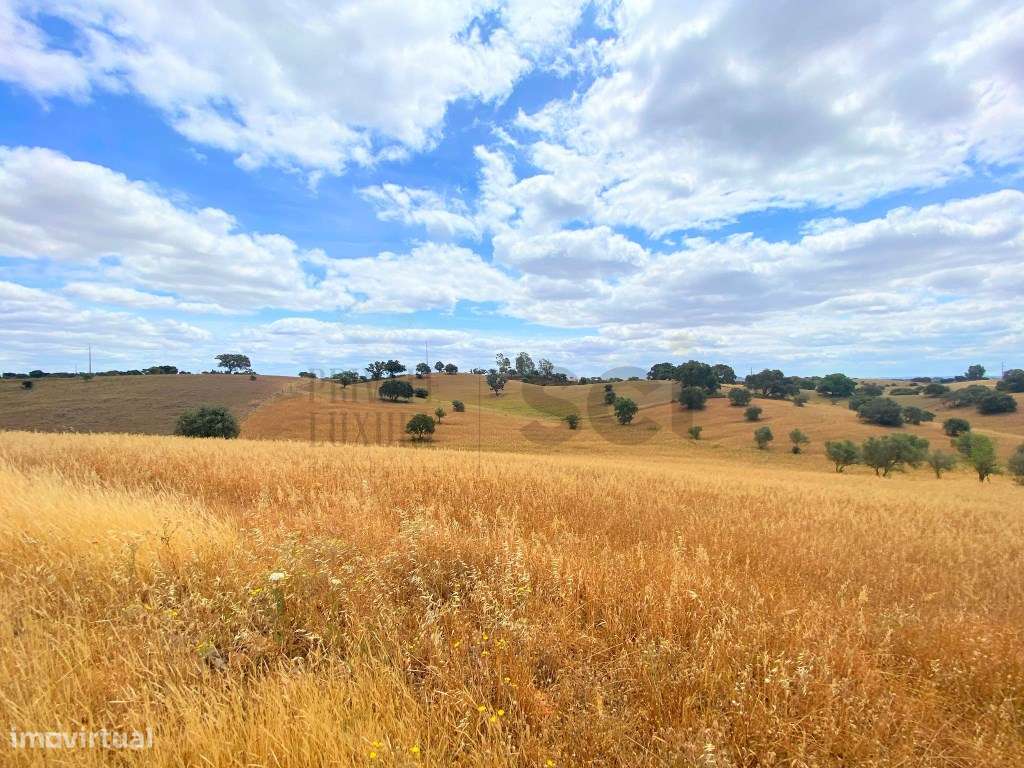 Quinta para recuperar em Serpa - Grande imagem: 5/60