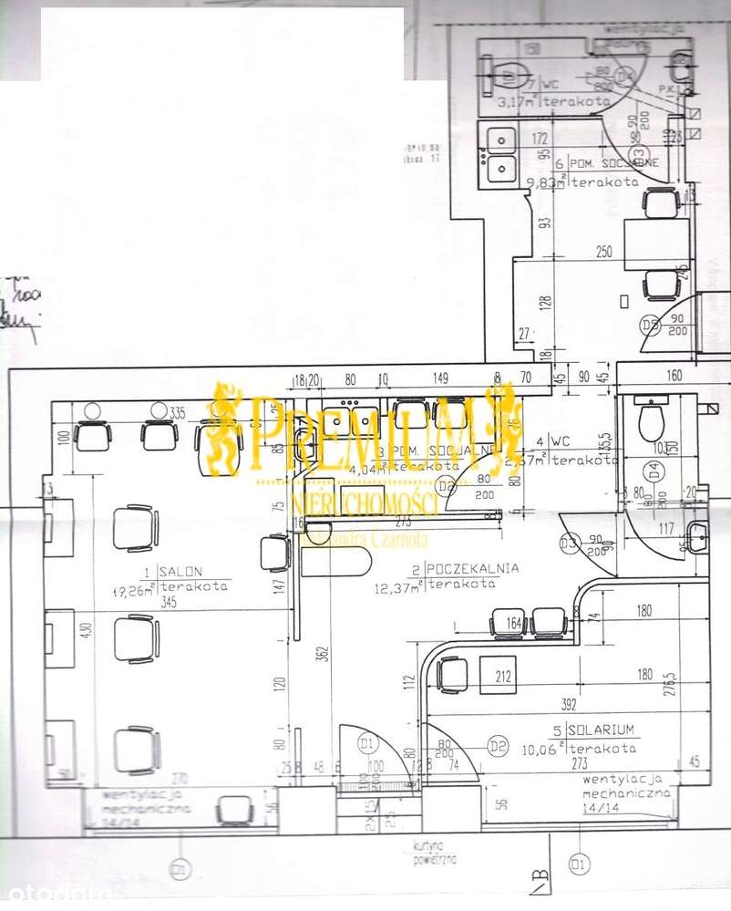 Lokal użytkowy z witrynami na parterze kamienicy-1