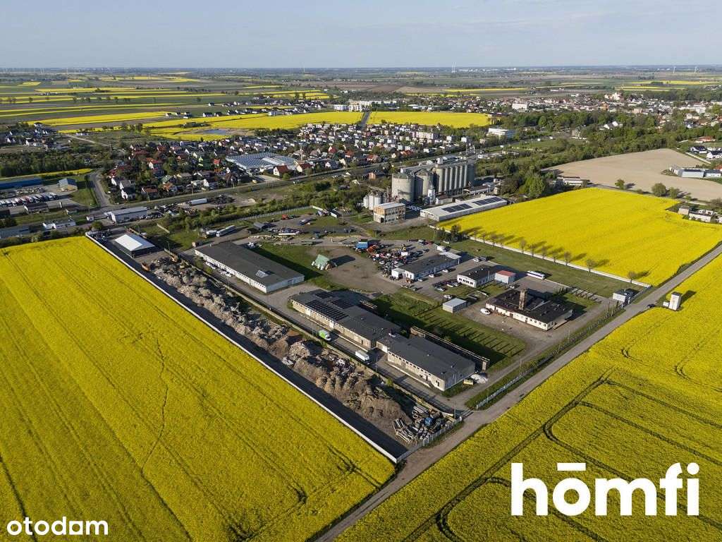 Strzelno-Lokal Przemysłowo-Biurowy, Dk15 - Pełny obrazek: 4/20