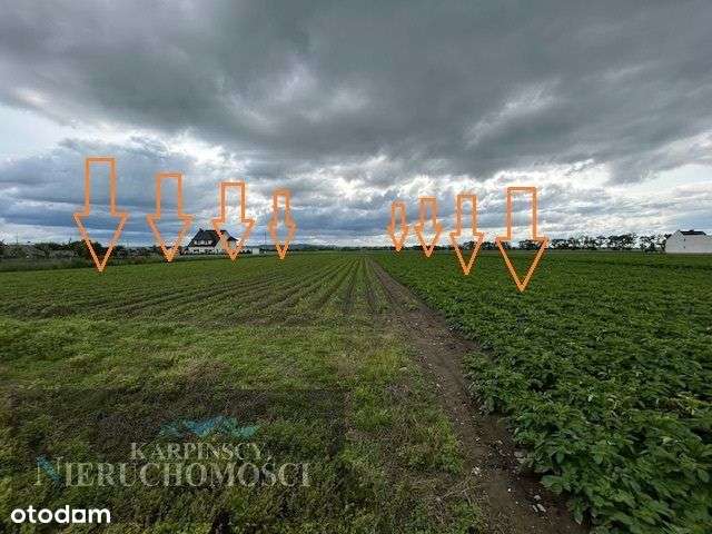 Działka budowlana Racibórz Sudół 875 m2. - Pełny obrazek: 5/5