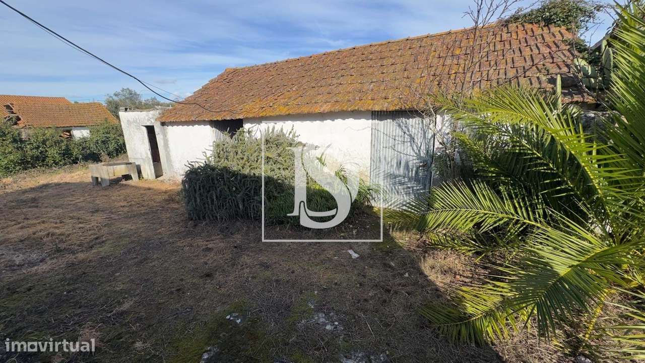 Moradia Tradicional com Terreno em Turquel (Alcobaça)-19