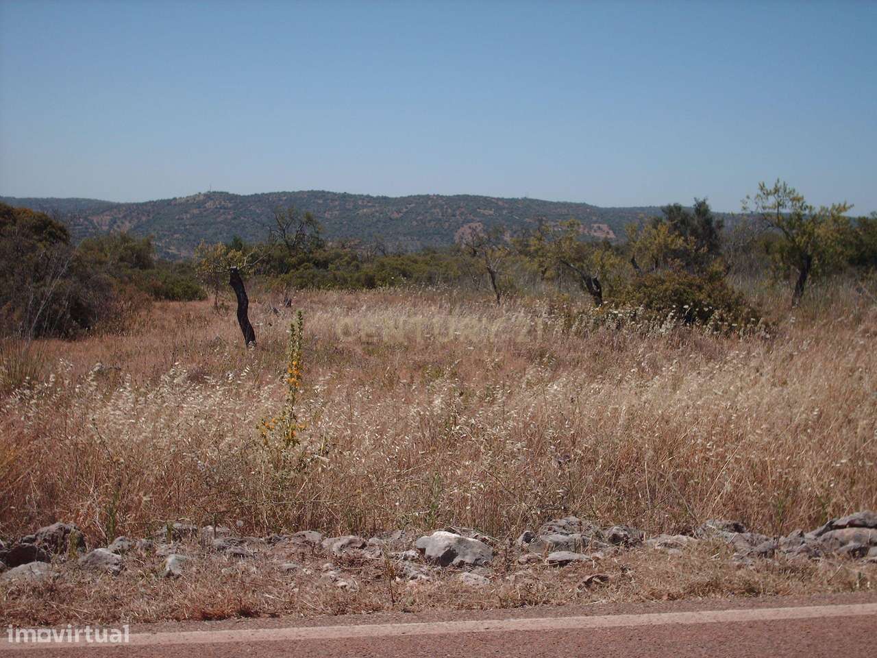 Terreno Acesso Fácil - Grande imagem: 4/4