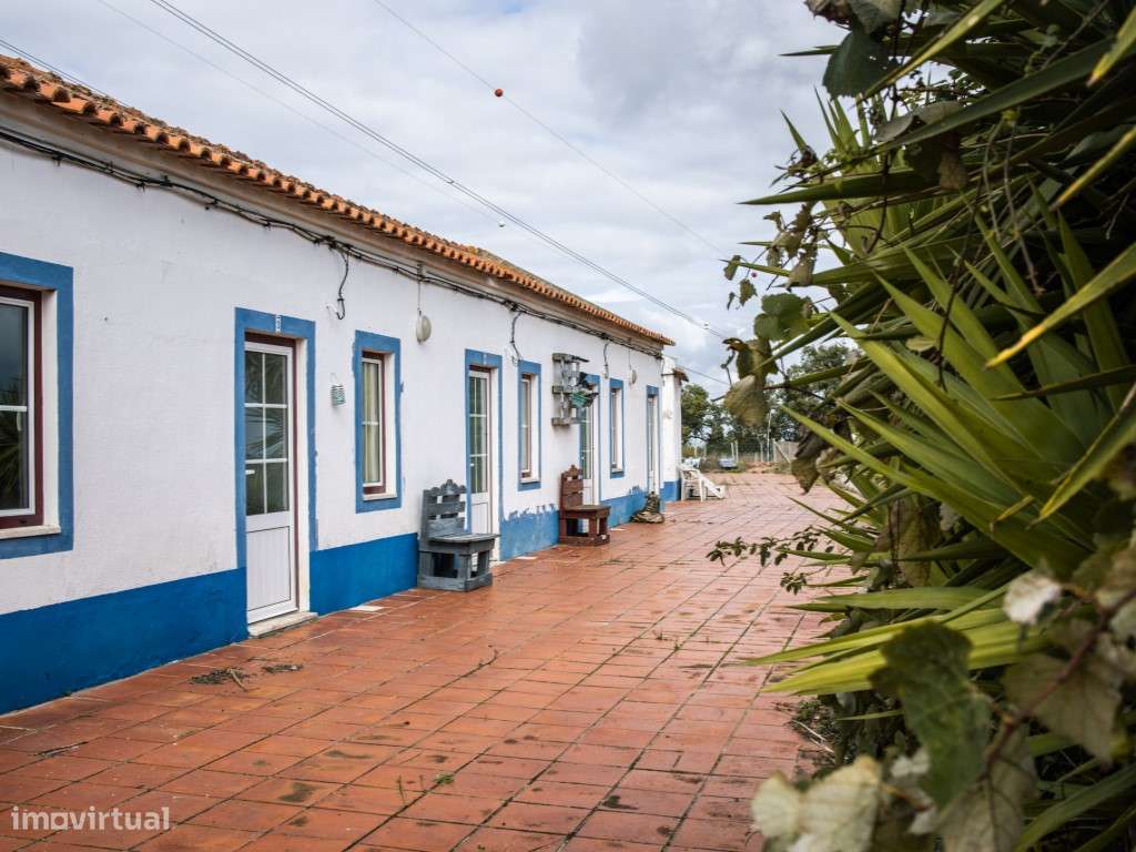 ** Fantástico Monte Alentejano com 50.000m2 Próximo a Maravilhosa C...-31