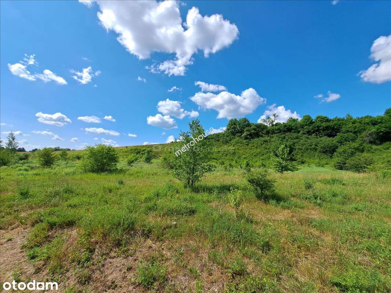 Działka inwestycyjna, płożona ok 12 km od Olsztyna - Pełny obrazek: 5/7