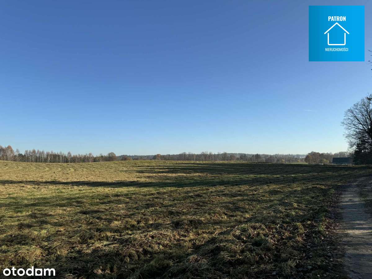 Działki budowlane w otoczeniu lasu  gmina Cewice-3