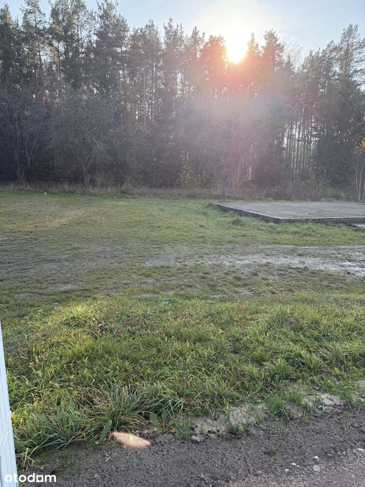 Działka Bory Tucholskie Osie k. Tlenia, Media, Las - Pełny obrazek: 4/7