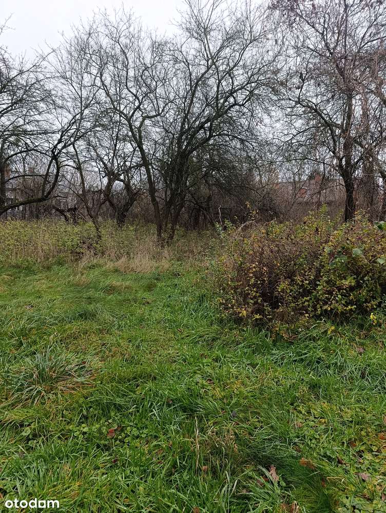działka zabudowana - Pełny obrazek: 4/5