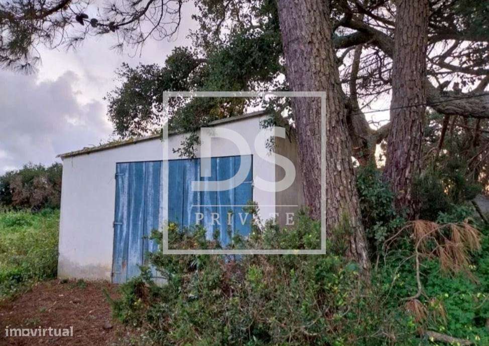 TERRENO RÚSTICO COM EXCELENTE LOCALIZAÇÃO EM AZUEIRA - CONSELHO DE MAF - Grande imagem: 5/8