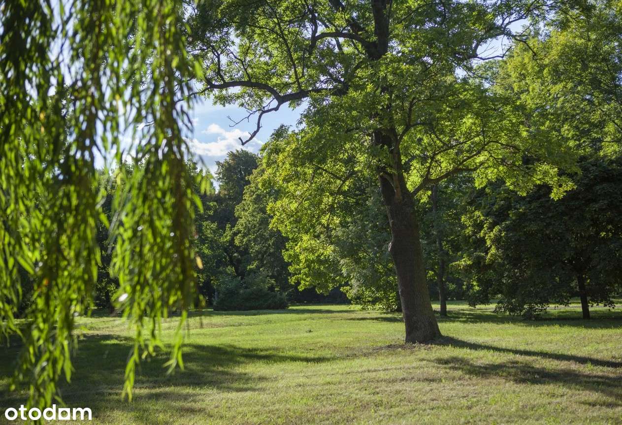 Mieszkanie, 37 m², Gdańsk - Pełny obrazek: 5/12