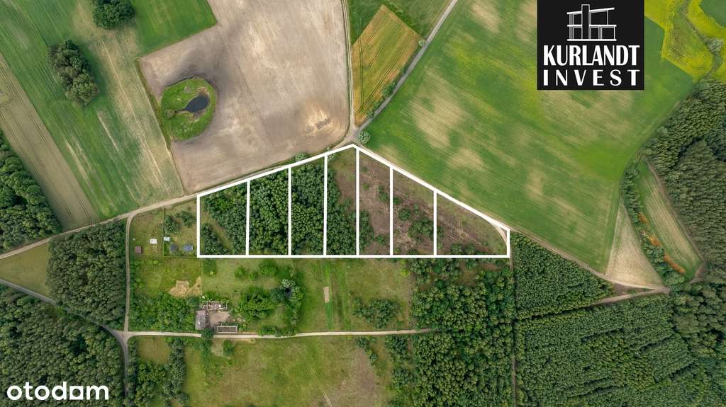 Działka budowlana 3225 m² z WZ - Pełny obrazek: 5/5