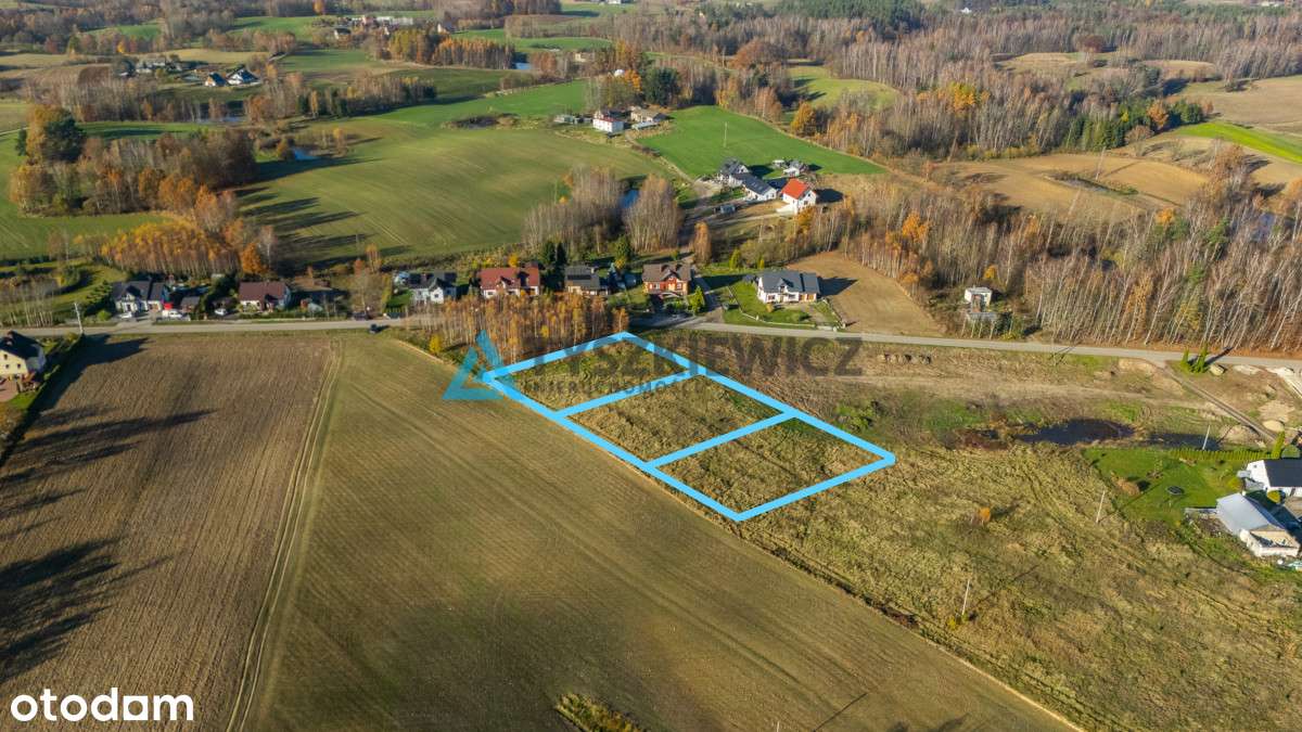 Kaszubskie tereny pod Kartuzami! Działki Brodnica - Pełny obrazek: 4/15