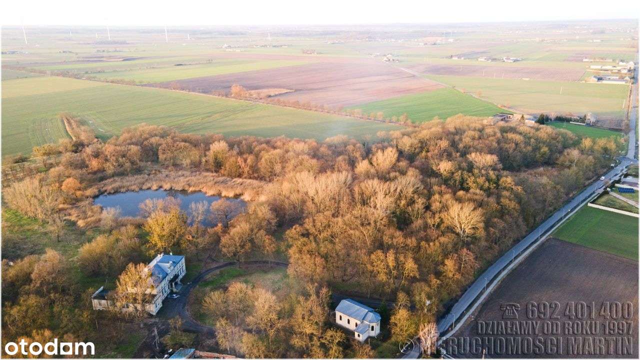 pałac w Niegolewie z parkiem 17 ha w tym rola 6 ha-1