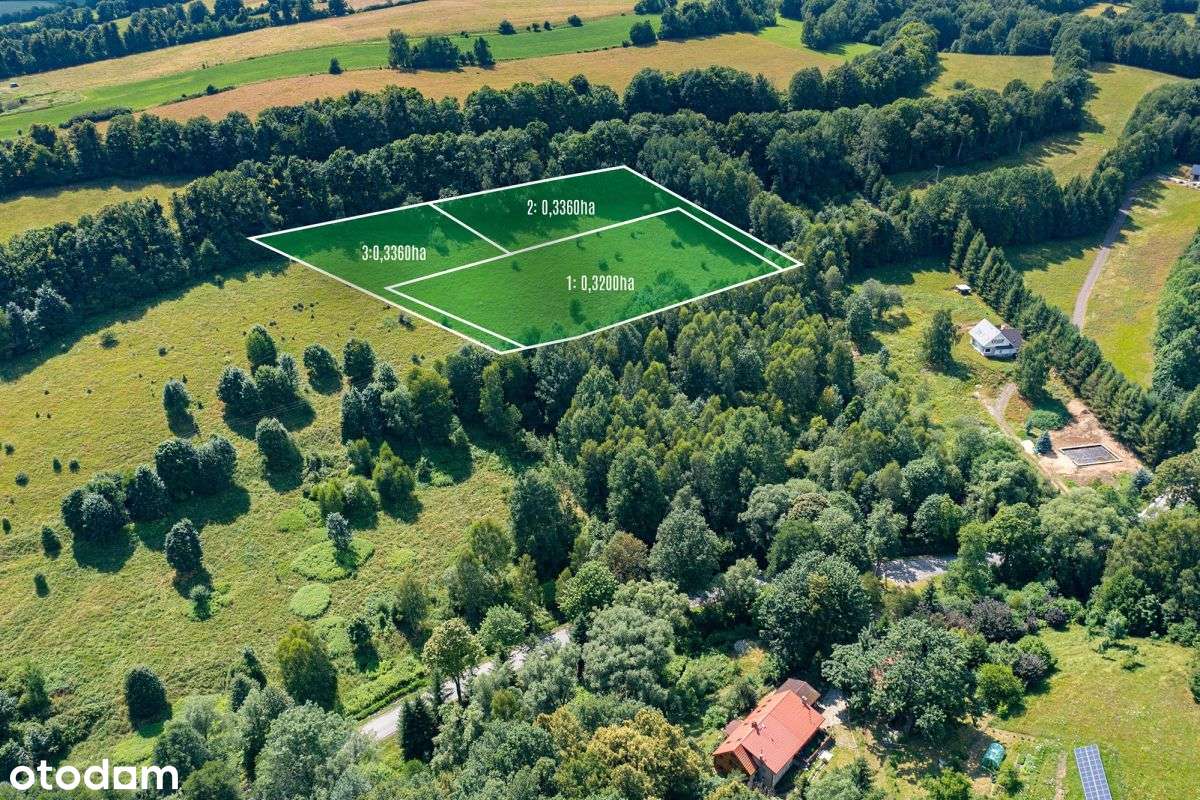 Działka widokowa, w otulinie leśnej, Olszyniec - Pełny obrazek: 5/8