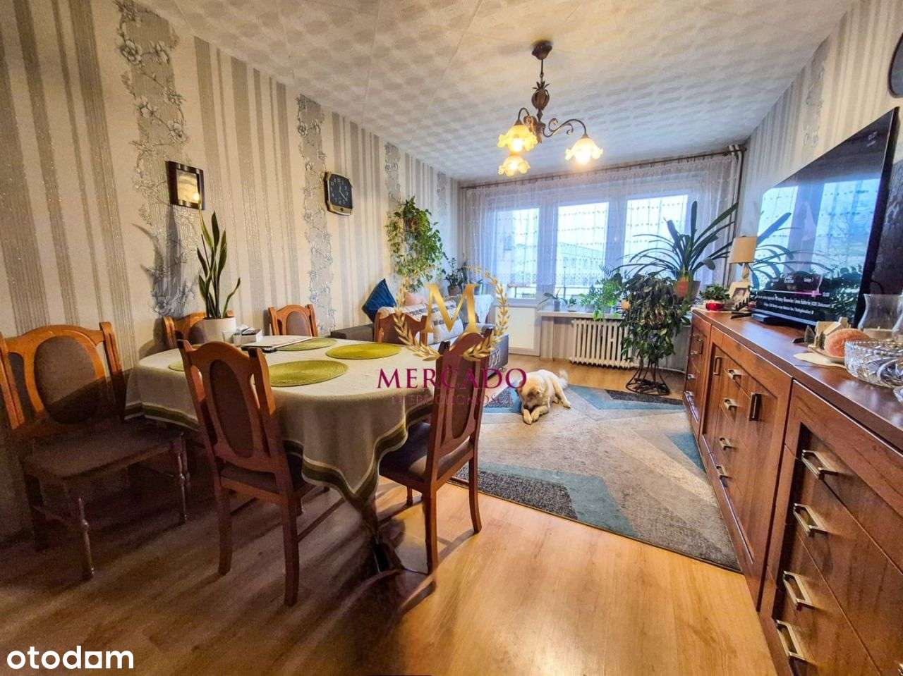 Mieszkanie z widokiem na park !-3