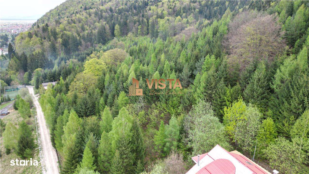 Teren 6500mp Dambu Morii - Bunloc, Brasov - Imagine principală: 5/7