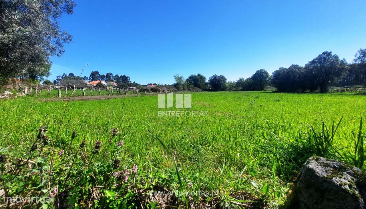 Venda de terreno agrícola, Alvarães, Viana do Castelo - Grande imagem: 4/14